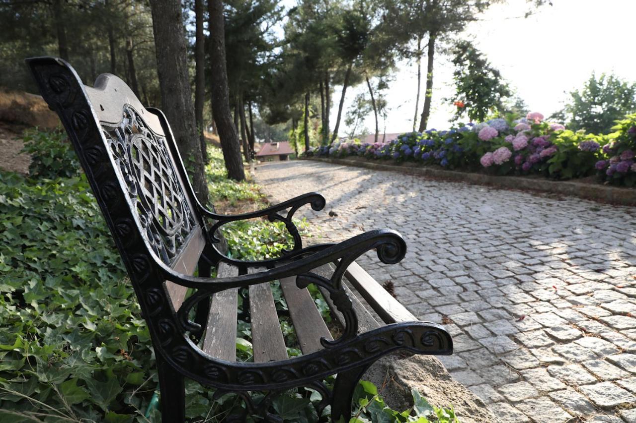 O Casario Bed & Breakfast Mirandela Dış mekan fotoğraf